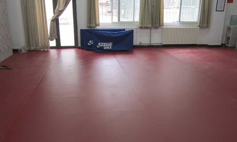 北京海淀師范大學乒乓球地板 北京海淀北京師范大學乒乓球pvc地板