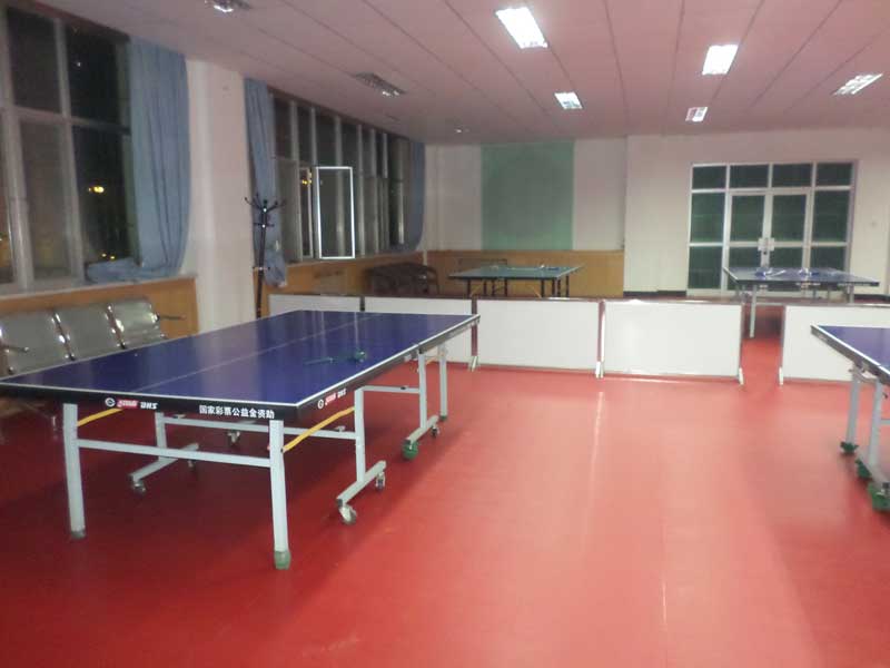 甘肅pvc塑膠運動地板 甘肅pvc塑膠運動地板